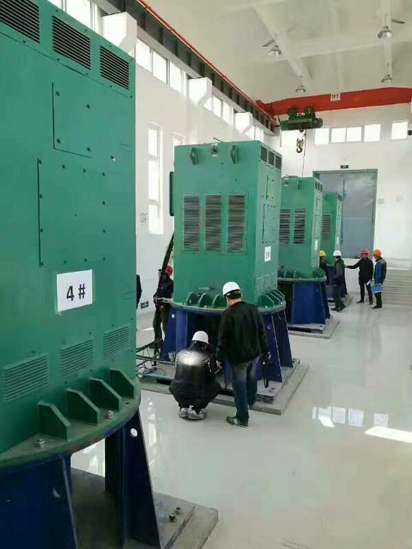 Y500-8某污水处理厂使用我厂的立式高压电机安装现场