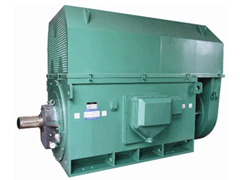 Y500-8Y系列6KV高压电机